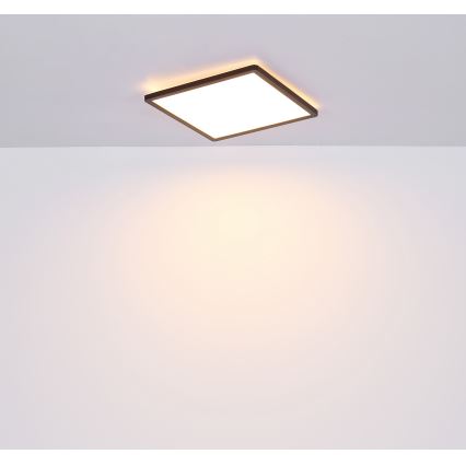 Globo - LED loftlampe til badeværelse dæmpbar LED/18W/230V 29,4x29,4 cm IP44 sort