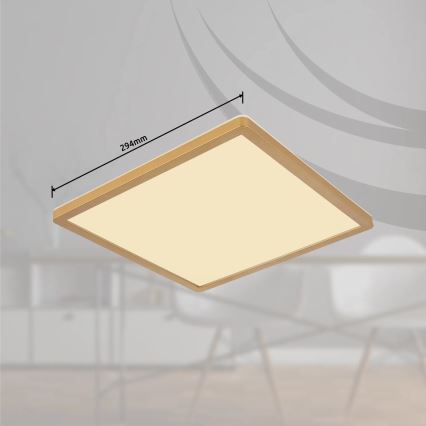 Globo - LED loftlampe til badeværelse dæmpbar LED/18W/230V 3000K IP44 29,4x29,4 cm messing