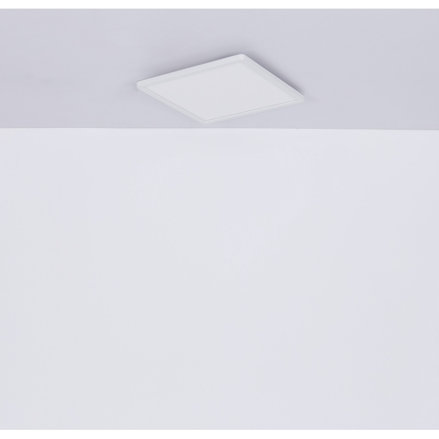 Globo - LED loftlampe til badeværelse dæmpbar LED/18W/230V 29,4x29,4 cm IP44 hvid
