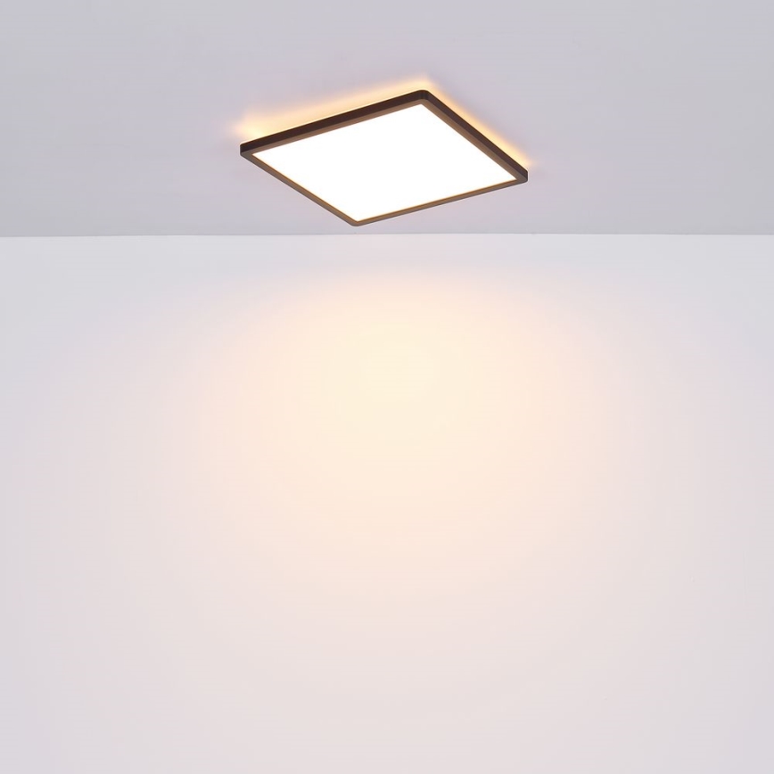 Globo - LED loftlampe til badeværelse dæmpbar LED/24W/230V 42x42 cm IP44 sort