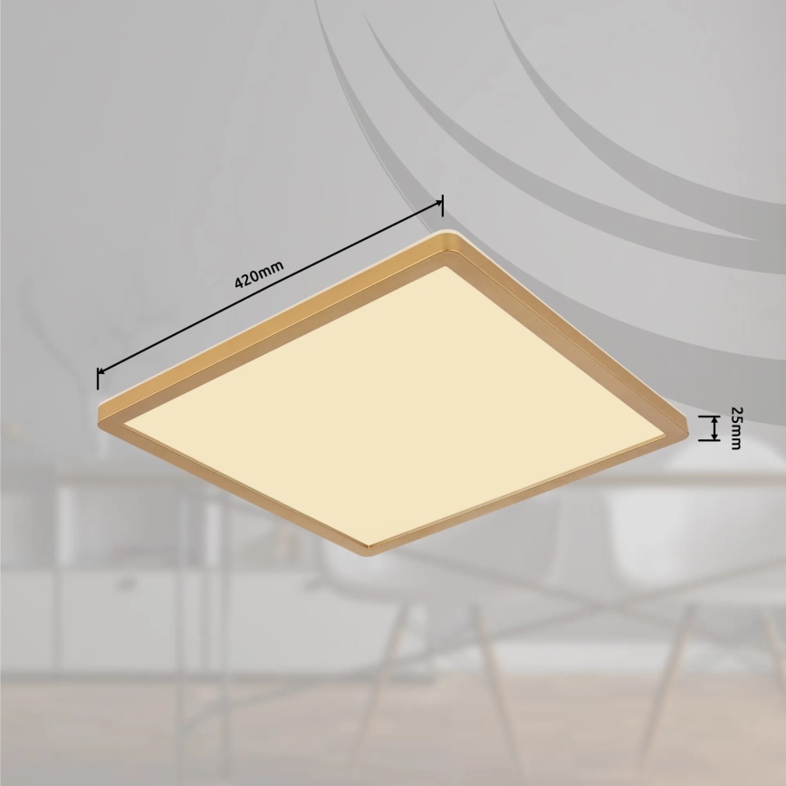 Globo - LED loftlampe til badeværelse dæmpbar LED/24W/230V 3000K IP44 42x42 cm messing