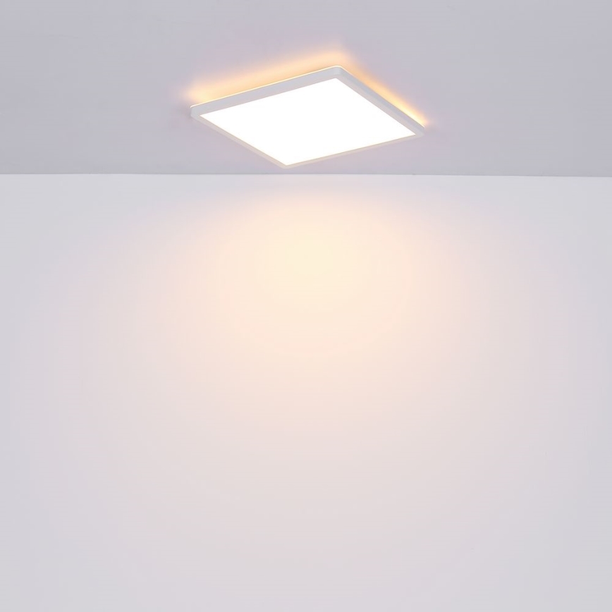 Globo - LED loftlampe til badeværelse dæmpbar LED/24W/230V 42x42 cm IP44 hvid