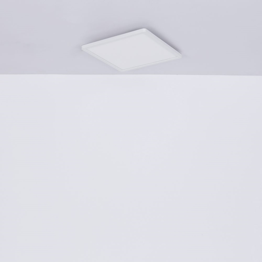 Globo - LED loftlampe til badeværelse dæmpbar LED/24W/230V 42x42 cm IP44 hvid