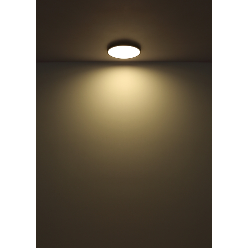 Globo - LED loftlampe LED/15W/230V 4000K diameter 23 cm sort