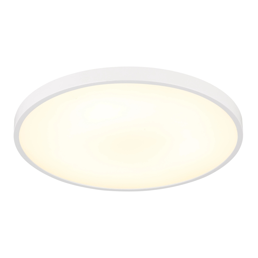 Globo - LED-loftlampe LED/15W/230V 4000K Ø 23 cm hvid