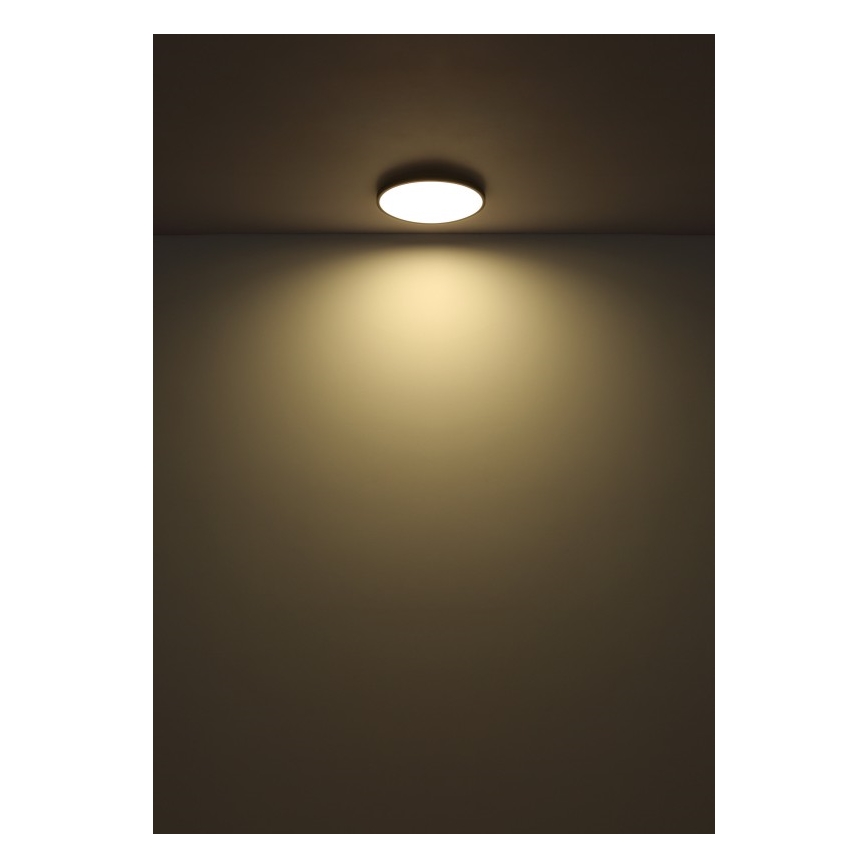 Globo - LED loftlampe LED/32W/230V 4000K diameter 40 cm sort