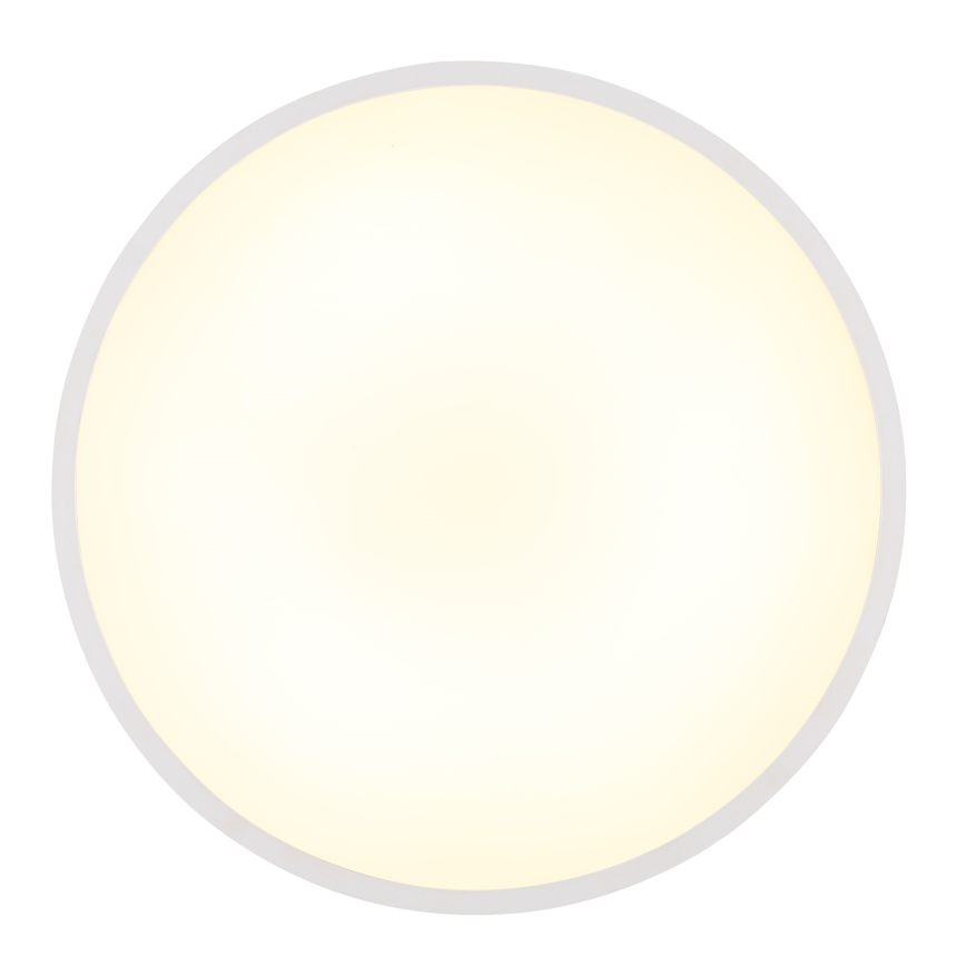 Globo - LED loftlampe LED/32W/230V 4000K diameter 40 cm hvid