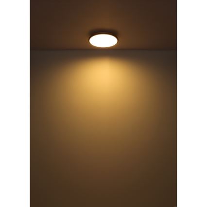 Globo - LED loftlampe LED/18W/230V 3000K diameter 35 cm sort