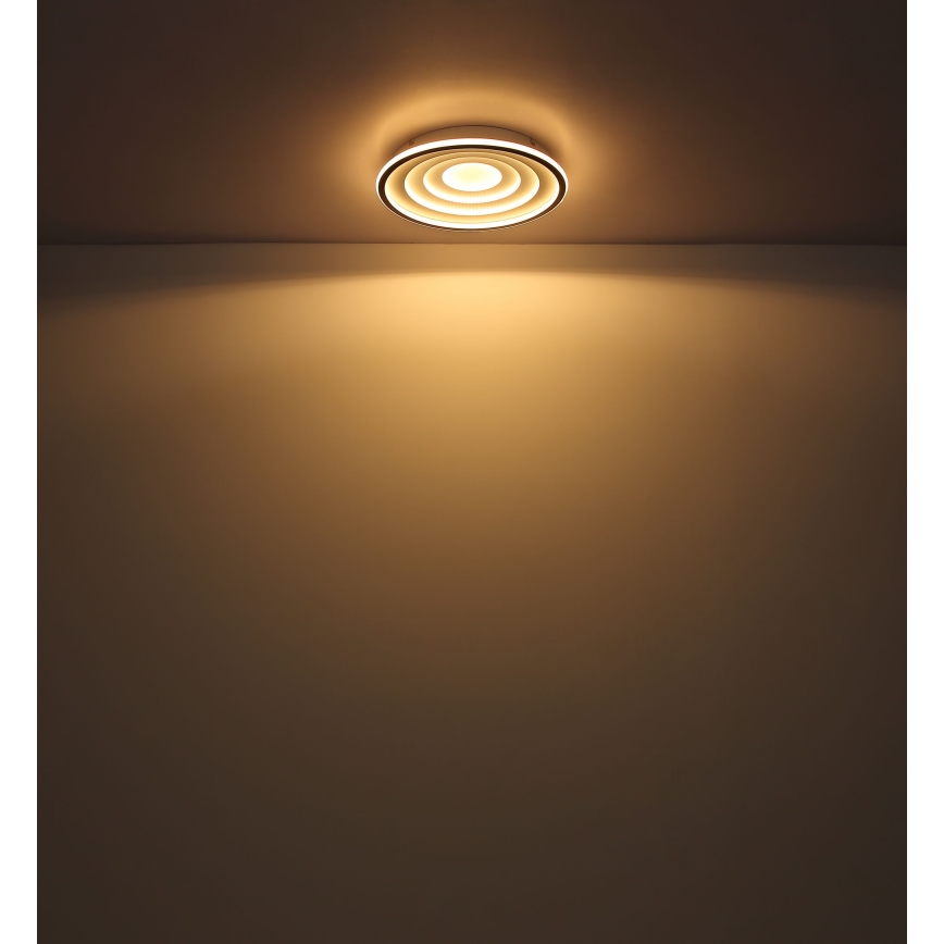 Globo - LED loftlampe LED/24W/230V