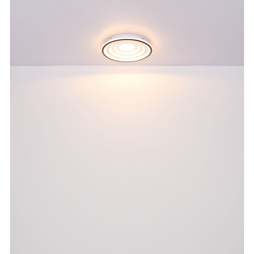 Globo - LED loftlampe LED/24W/230V