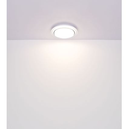 Globo - LED loftlampe m. RGBW-farver dæmpbar LED/24W/230V 2700-6500K + fjernbetjening