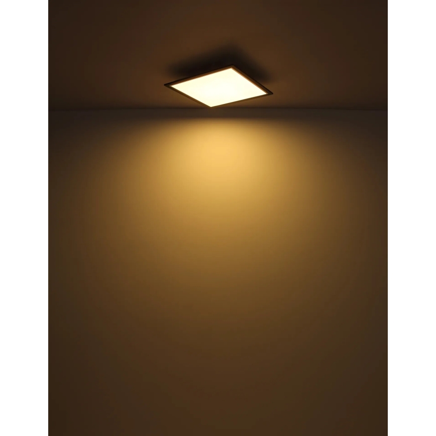 Globo - LED loftlampe LED/24W/230V