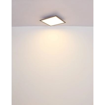 Globo - LED loftlampe LED/24W/230V