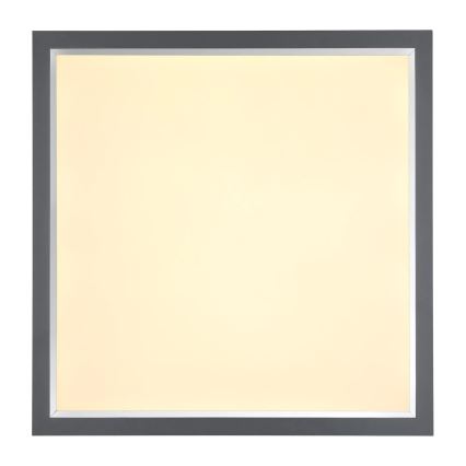 Globo - LED loftlampe LED/24W/230V