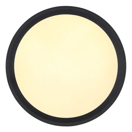 Globo - LED loftlampe LED/30W/230V diameter 30 cm