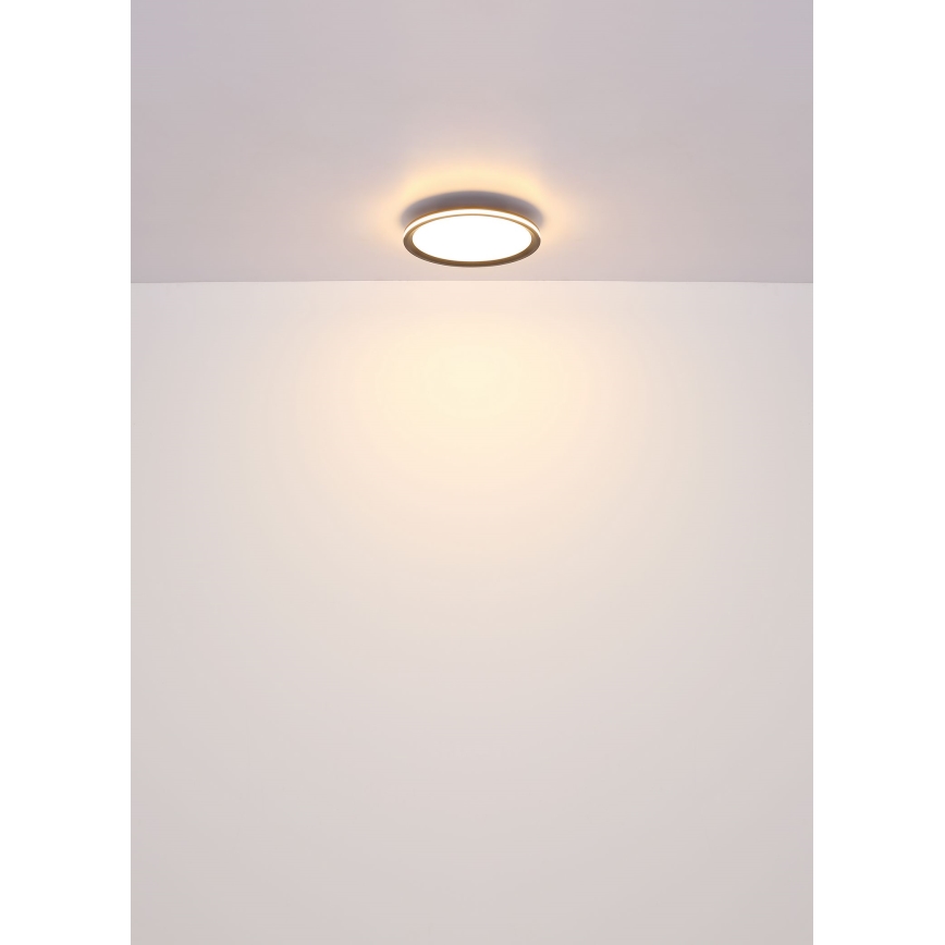 Globo - LED loftlampe LED/39W/230V diameter 40 cm