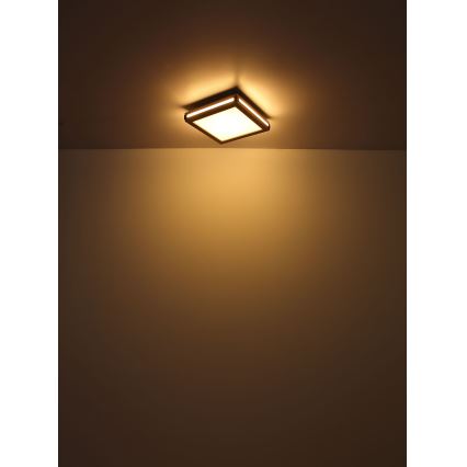 Globo - LED loftlampe LED/12W/230V 30x30 cm