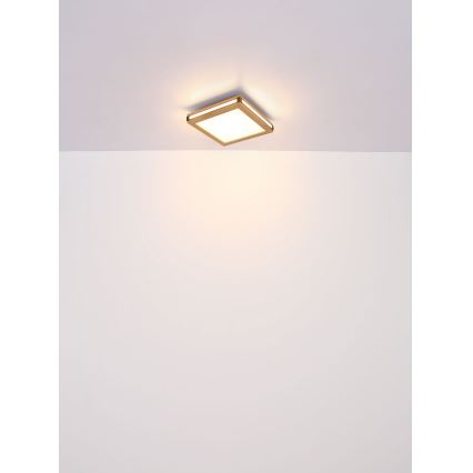 Globo - LED loftlampe LED/12W/230V 30x30 cm