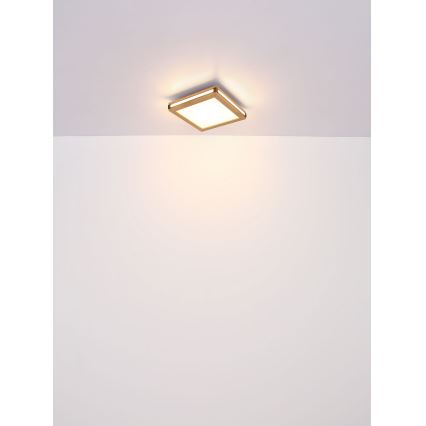 Globo - LED loftlampe LED/24W/230V 45x45 cm