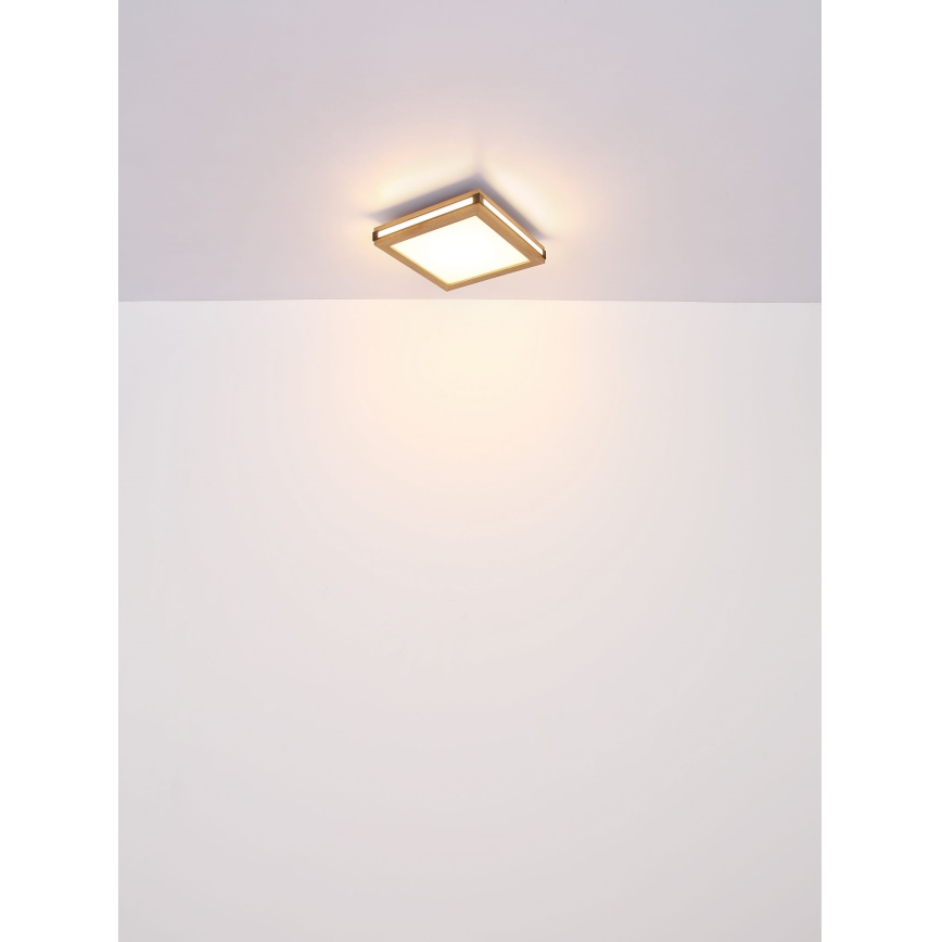 Globo - LED loftlampe LED/24W/230V 45x45 cm