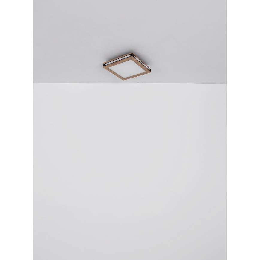 Globo - LED loftlampe LED/24W/230V 45x45 cm