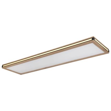 Globo - LED loftlampe dæmpbar LED/36W/230V 3000K 30x120 cm