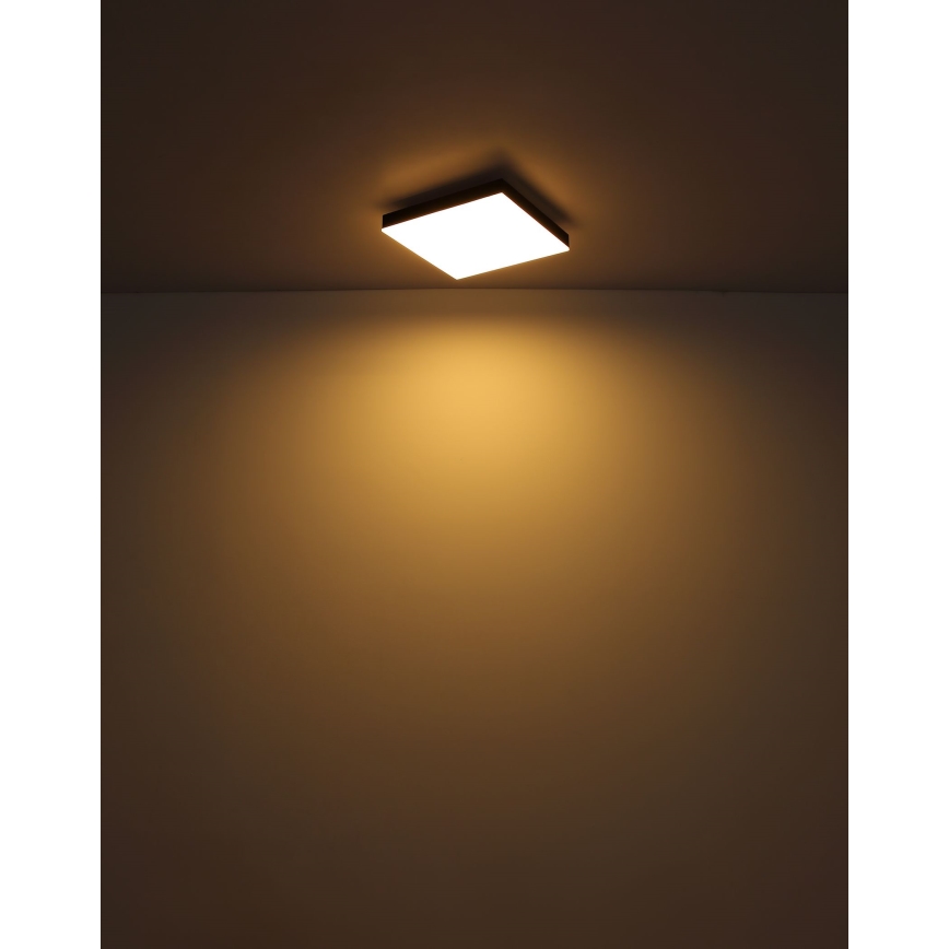 Globo - LED loftlampe dæmpbar LED/24W/230V 2700-6500K sort + fjernbetjening