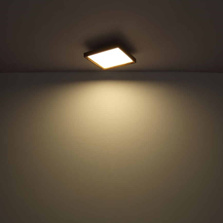 Globo - LED loftlampe LED/24W/230V 45 cm 2700/4500/6500K