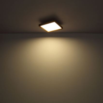 Globo - LED loftlampe LED/36W/230V 2700/4500/6500K 60x60 cm