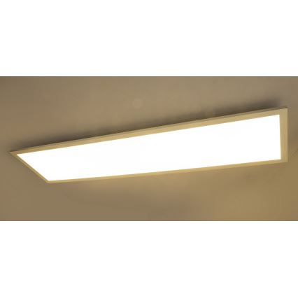 Globo - LED panel overflademonteret LED/40W/230V