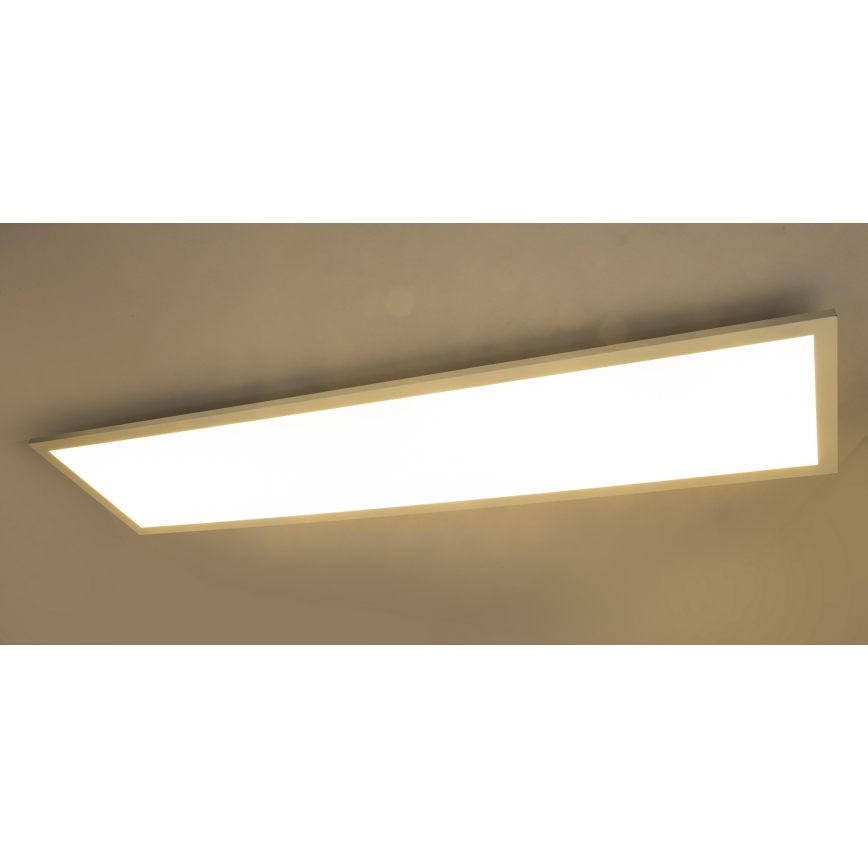 Globo - LED panel overflademonteret LED/40W/230V