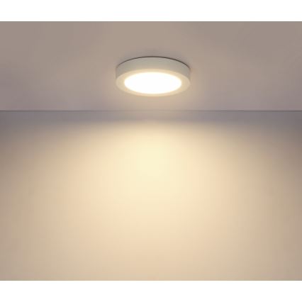 Globo - LED loftlampe til badeværelse LED/18W/230V IP44