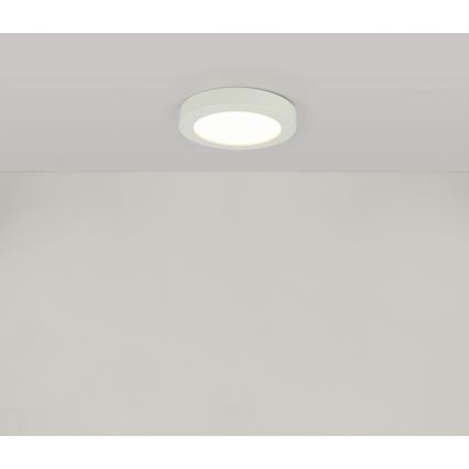 Globo - LED loftlampe til badeværelse 1xLED/18W/230V IP44