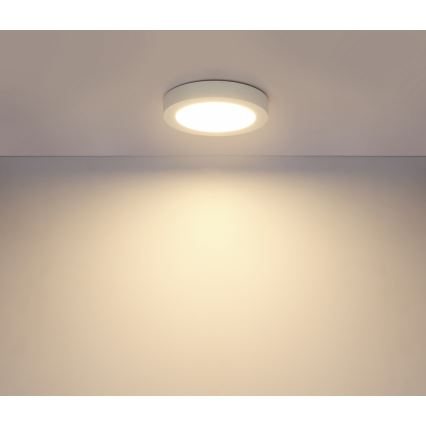 Globo - LED loftlampe til badeværelse 1xLED/18W/230V IP44