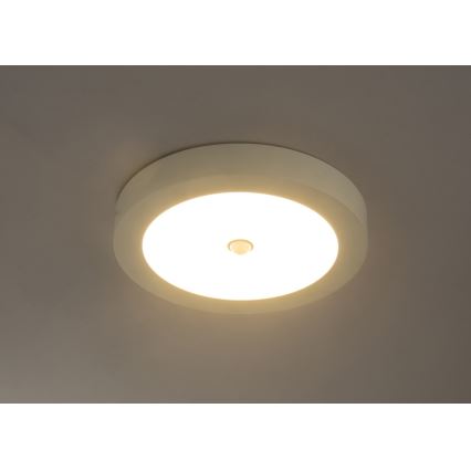 Globo - LED udendørs loftlampe med sensor LED/18W/230V IP44