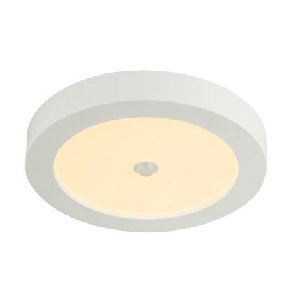 Globo - Udendørs LED loftslampe med sensor 1xLED/18W/230V IP44