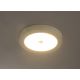 Globo - Udendørs LED loftslampe med sensor 1xLED/18W/230V IP44