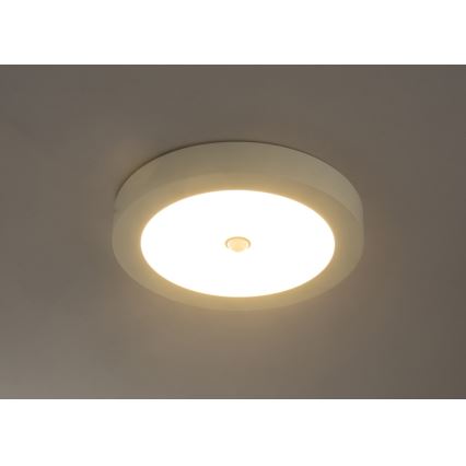 Globo - Udendørs LED loftslampe med sensor 1xLED/18W/230V IP44