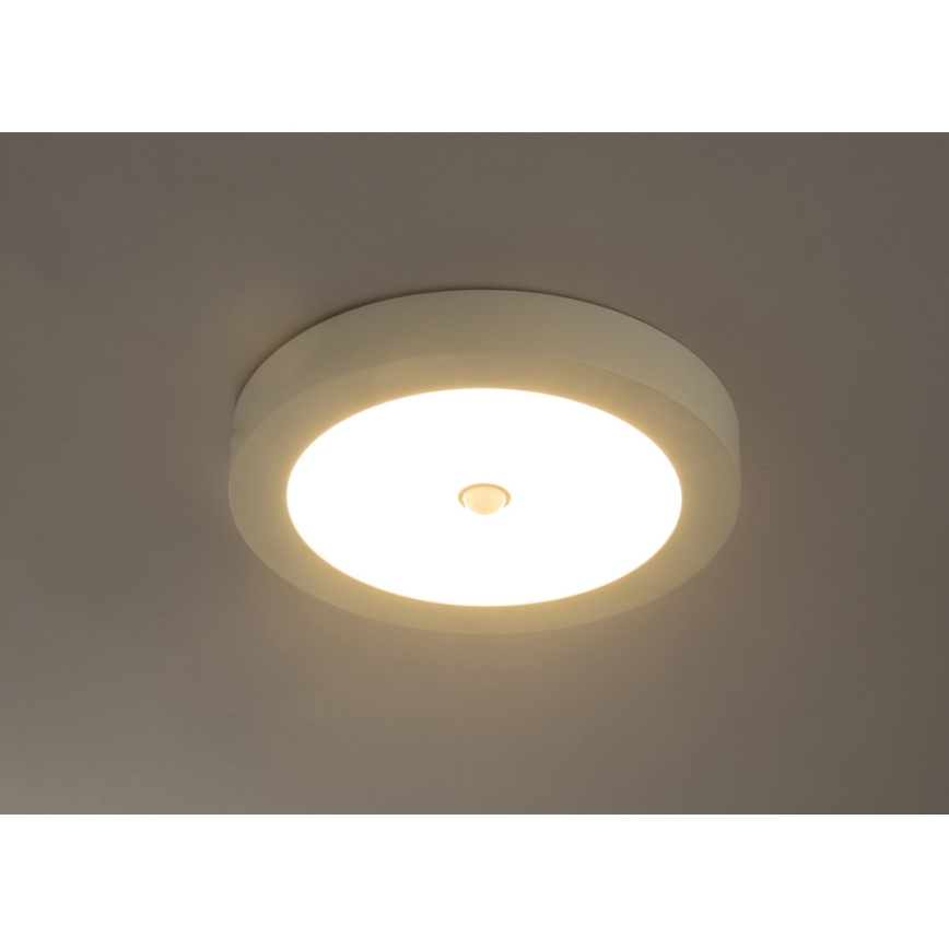 Globo - Udendørs LED loftslampe med sensor 1xLED/18W/230V IP44