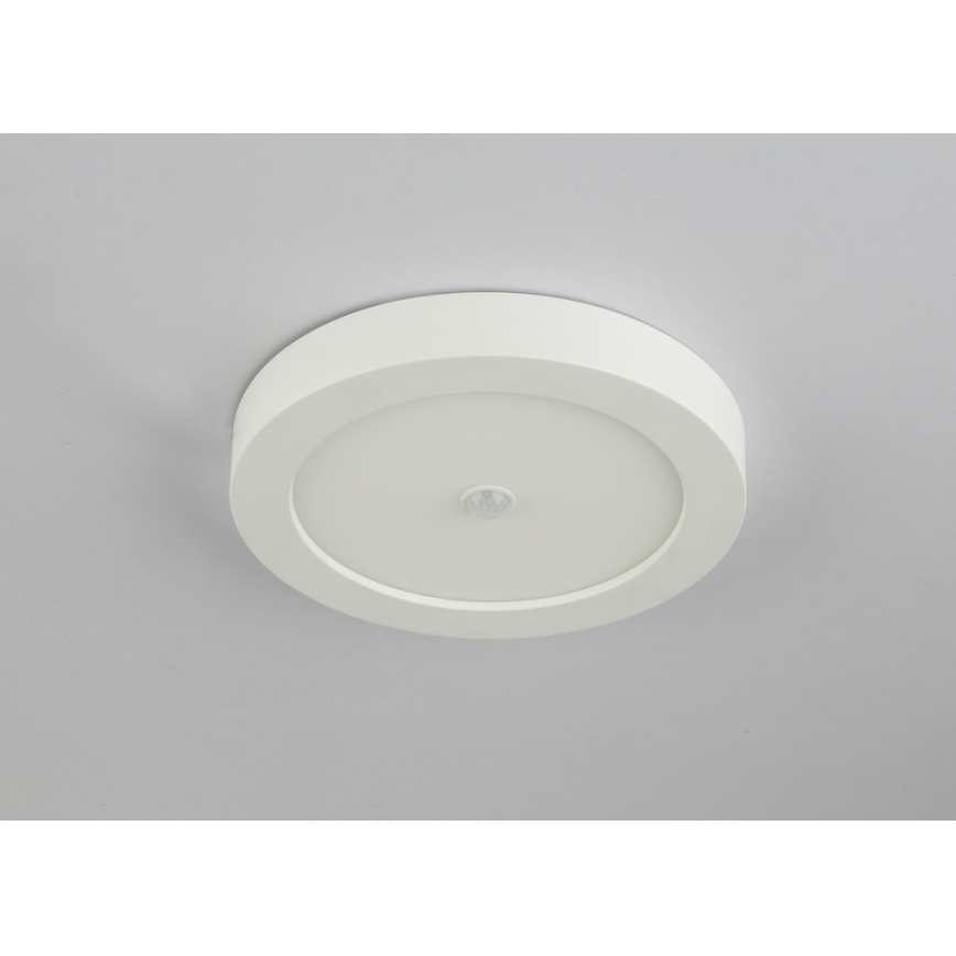 Globo - Udendørs LED loftslampe med sensor 1xLED/18W/230V IP44