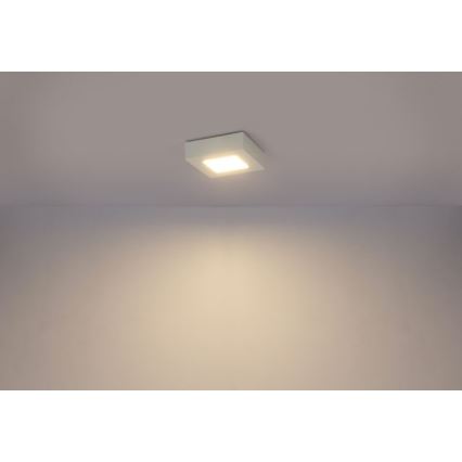 Globo - LED loftlampe SVENJA 1xLED/9W/230V 3000/4000/6000K