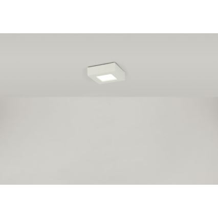 Globo - LED loftlampe SVENJA 1xLED/9W/230V 3000/4000/6000K