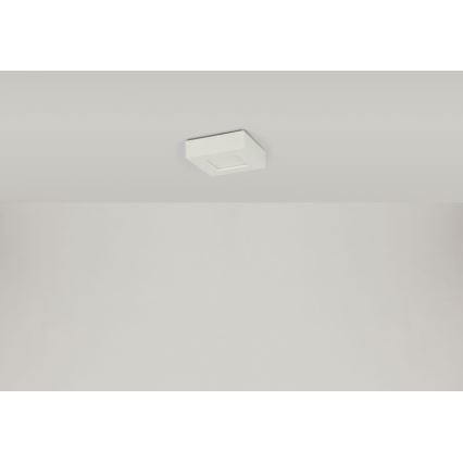 Globo - LED loftlampe SVENJA 1xLED/9W/230V 3000/4000/6000K
