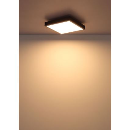 Globo - LED loftlampe LED/12W/230V 3000K 30x30 cm