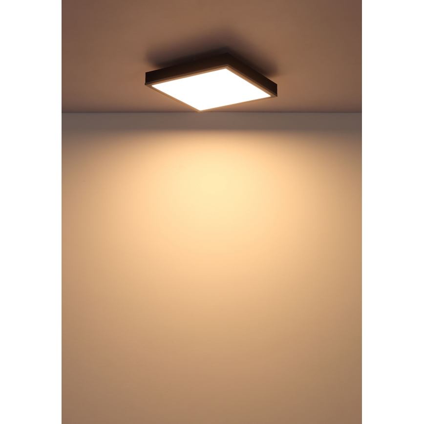 Globo - LED loftlampe LED/12W/230V 3000K 30x30 cm