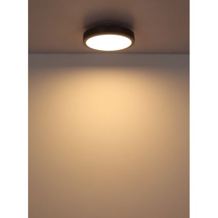 Globo - LED loftlampe LED/12W/230V 3000K diameter 30 cm