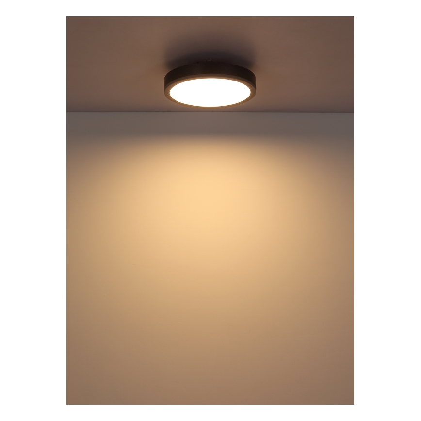 Globo - LED loftlampe LED/12W/230V 3000K diameter 30 cm