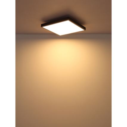 Globo - LED loftlampe LED/24W/230V 3000K 45x45 cm