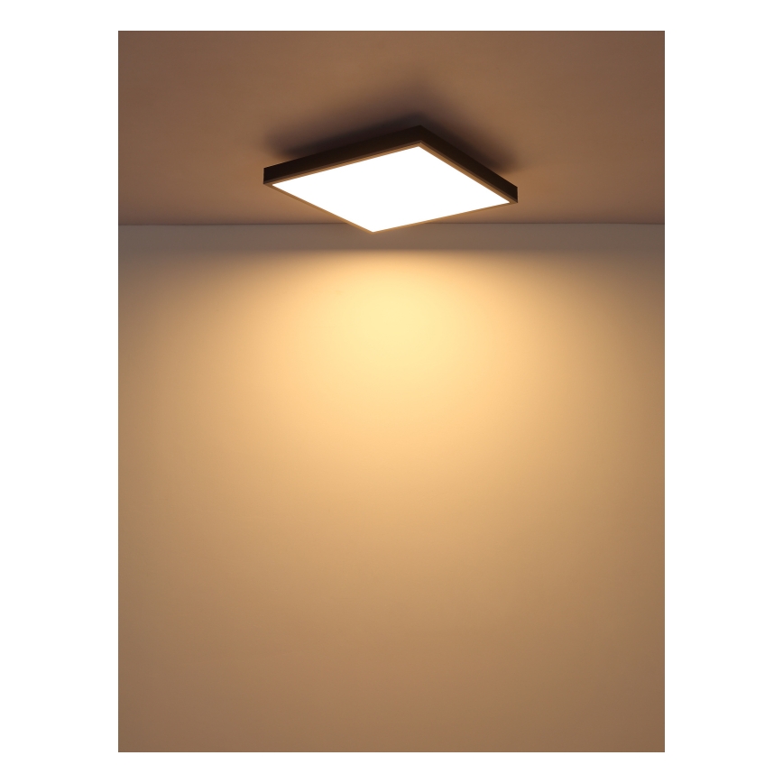 Globo - LED loftlampe LED/24W/230V 3000K 45x45 cm