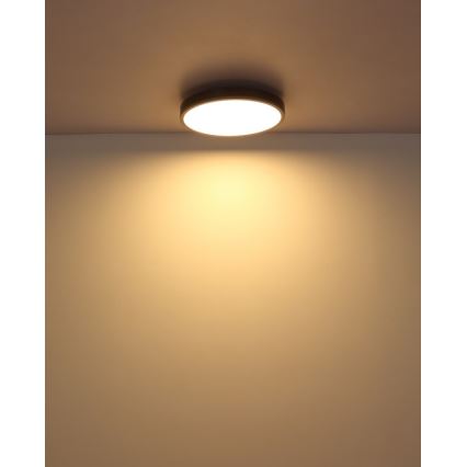 Globo - LED loftlampe LED/24W/230V 3000K diameter 45 cm